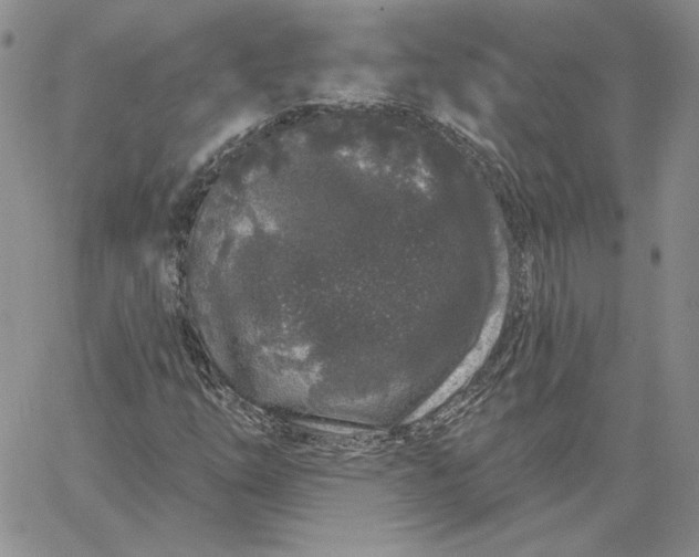 X0000060581254200511241332