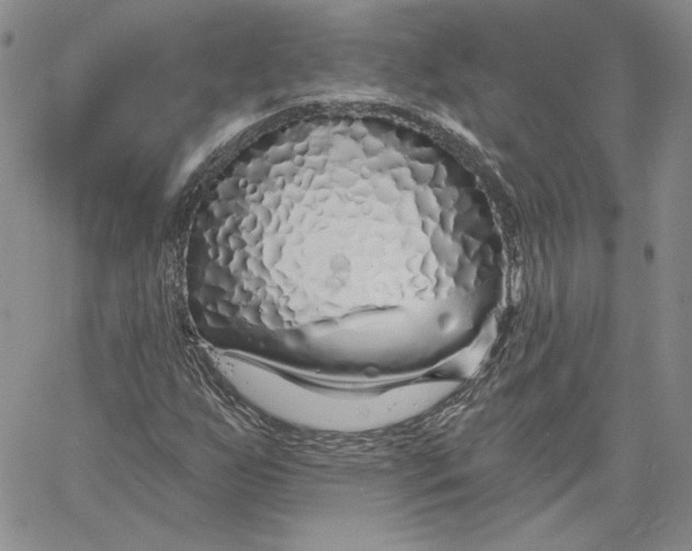 X0000060581255200511241332