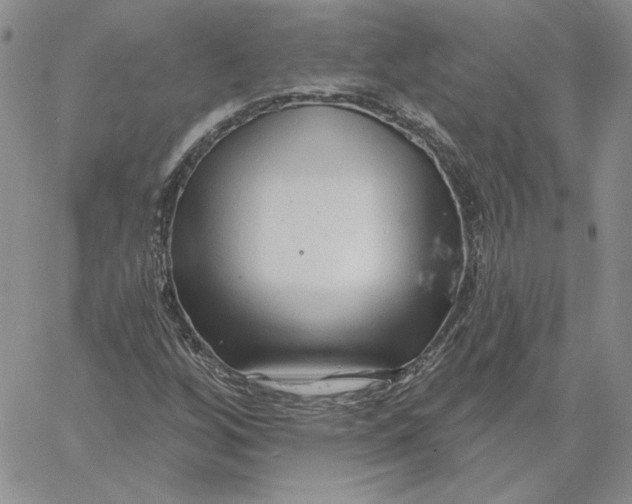 X0000060581256200511241332