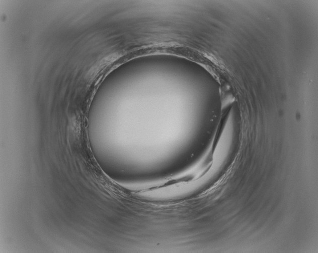 X0000060581257200511241332