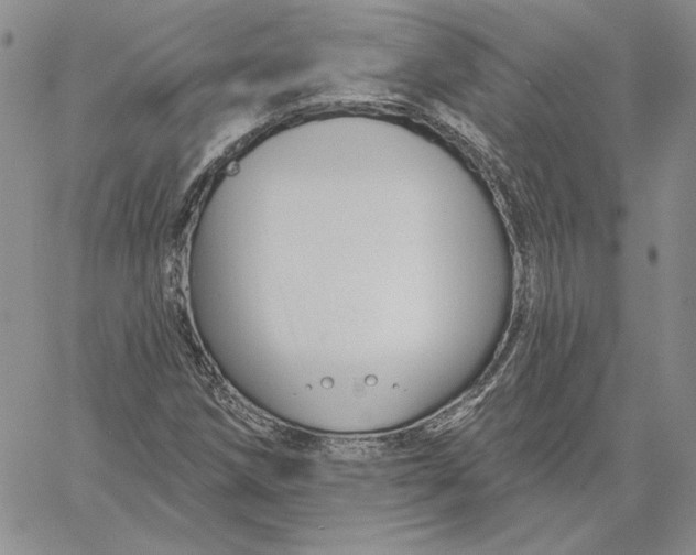 X0000060581258200511241332