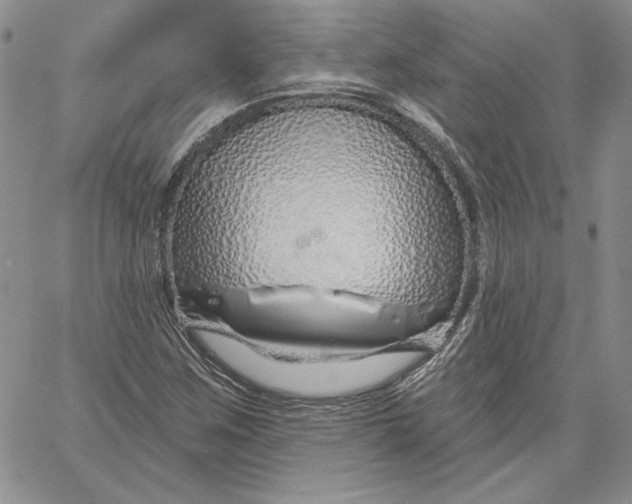 X0000060581259200511241332