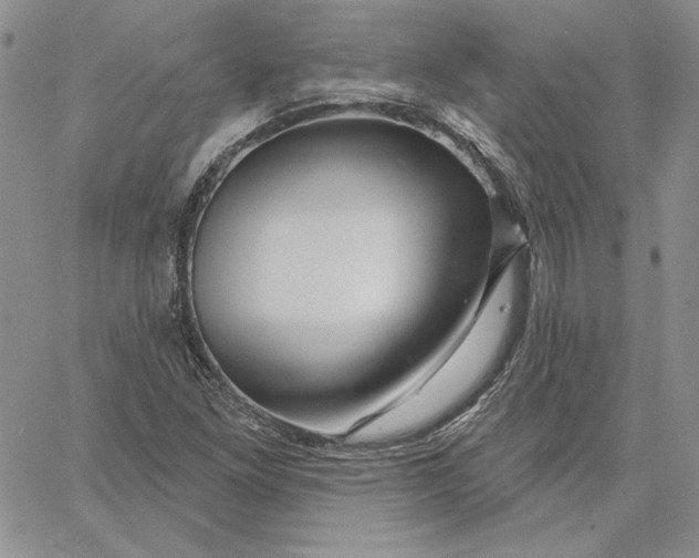 X0000060581261200511241332