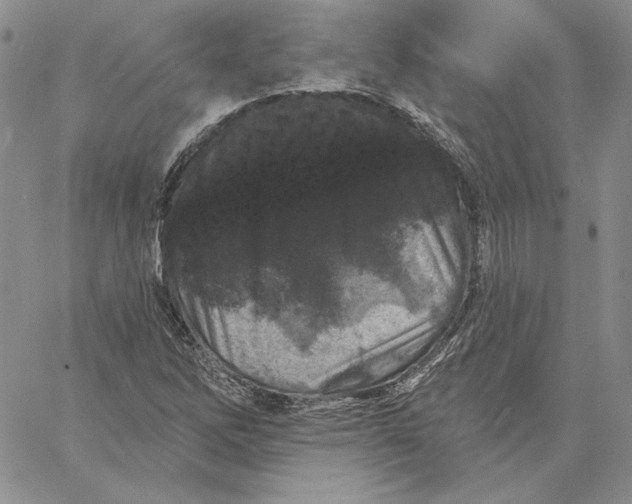 X0000060581262200511241332