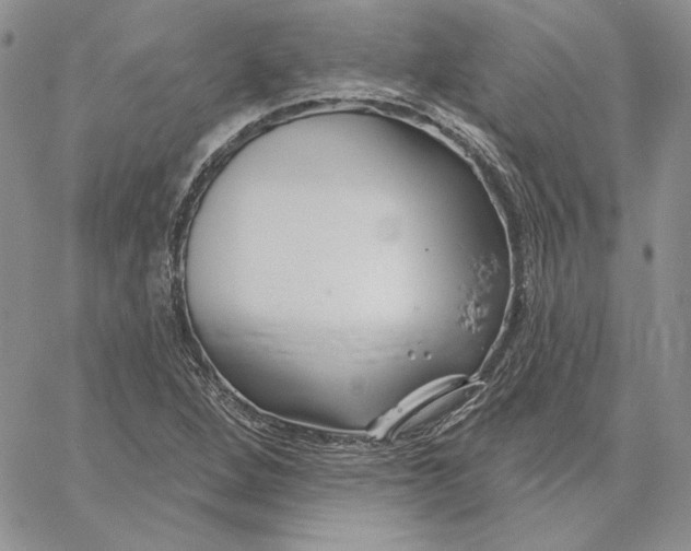 X0000060581264200511241332