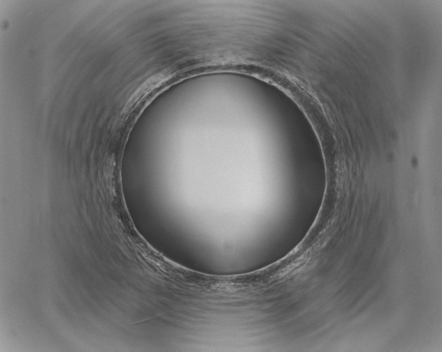 X0000060581265200511241332