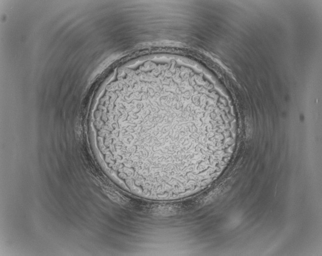 X0000060581266200511241332