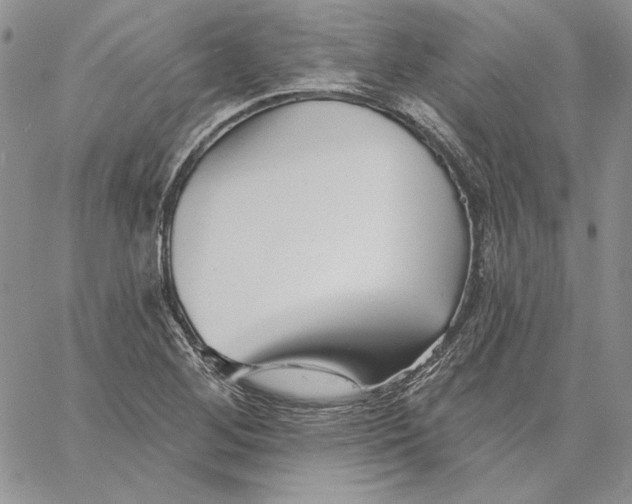 X0000060581268200511241332