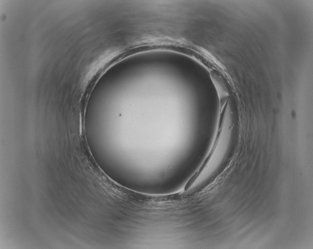 X0000060581269200511241332