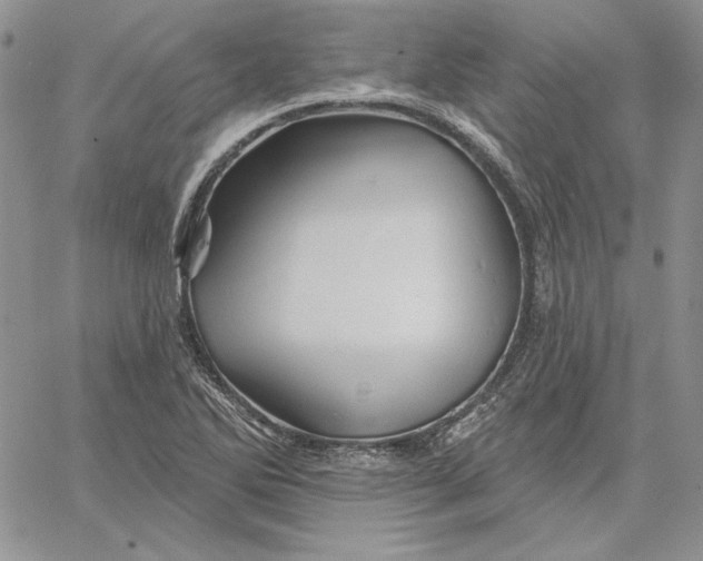 X0000060581270200511241332