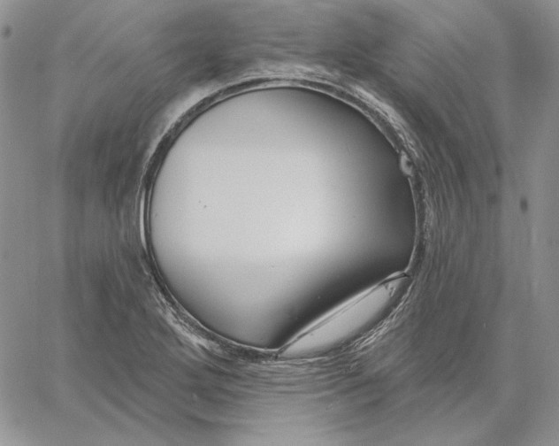 X0000060581272200511241332