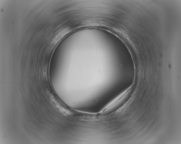 X0000060581273200511241332