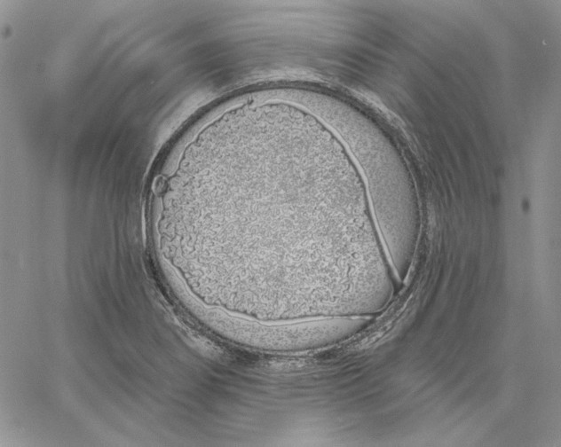 X0000060581274200511241332