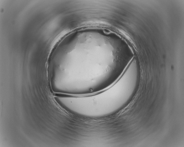 X0000060581275200511241332