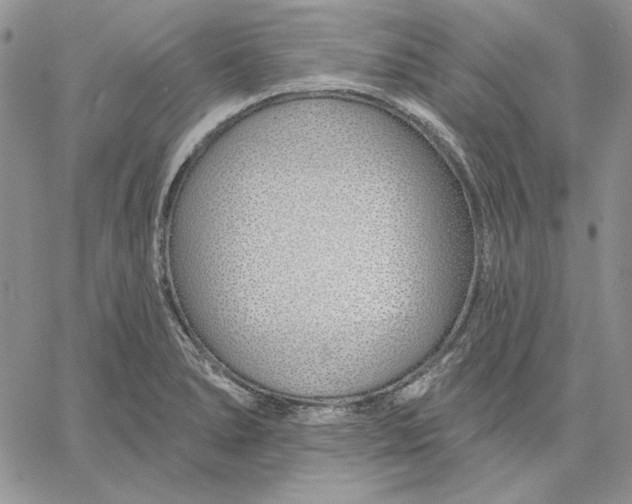 X0000060581278200511241332