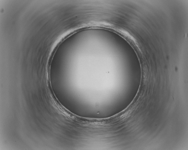 X0000060581280200511241332