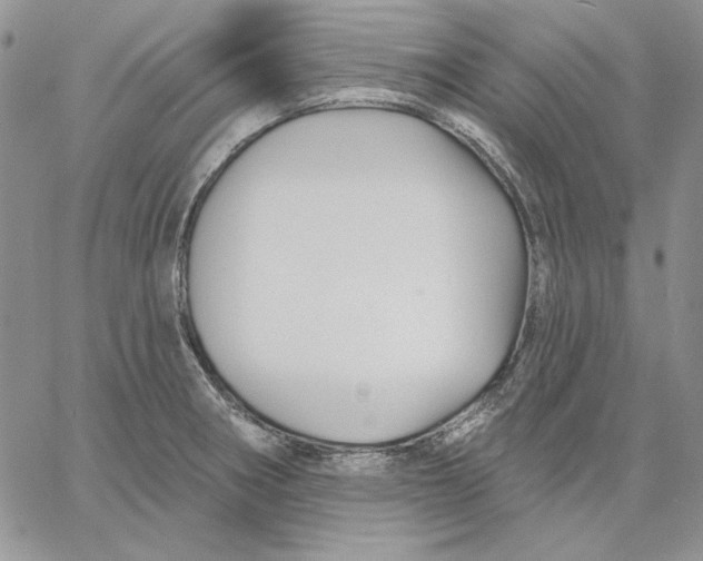 X0000060581282200511241332