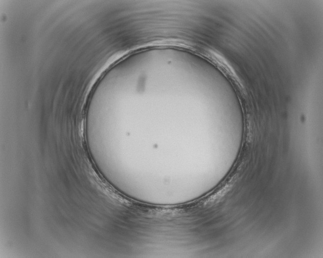 X0000060581284200511241332