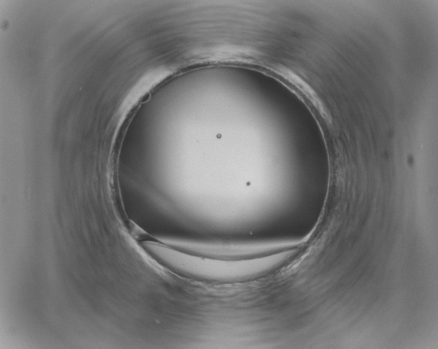 X0000060581285200511241332