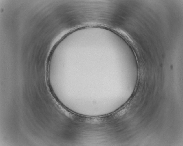 X0000060581286200511241332