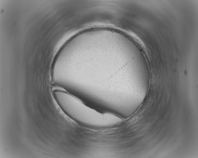 X0000060581287200511241332