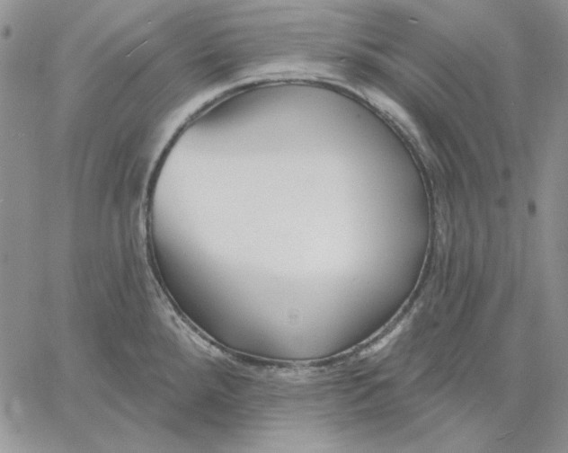 X0000060581288200511241332