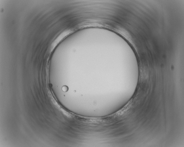 X0000060581290200511241332