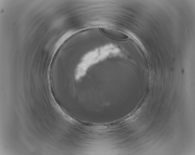 X0000060581291200511241332