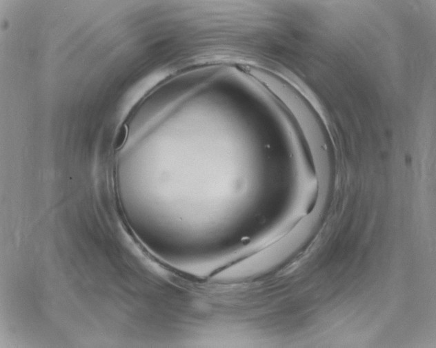 X0000060581293200511241332