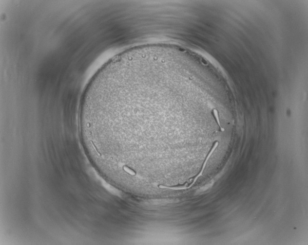 X0000060581294200511241332