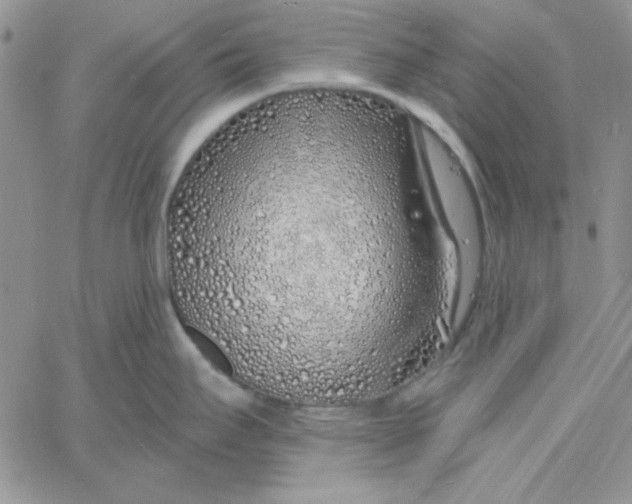 X0000060581295200511241332