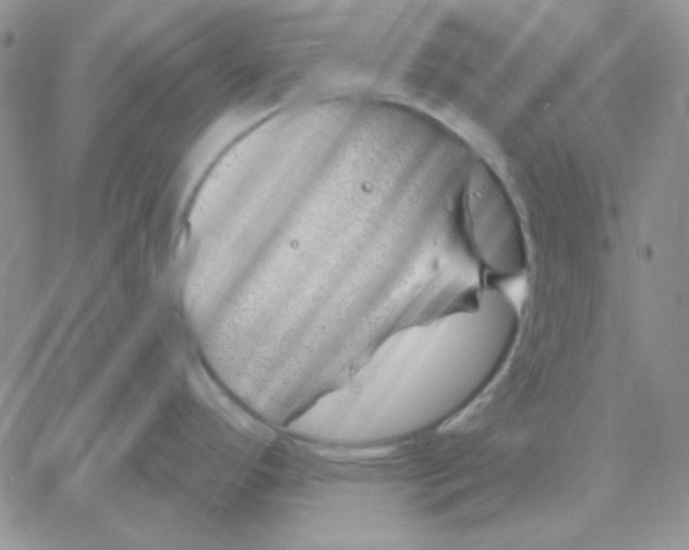 X0000060581296200511241332