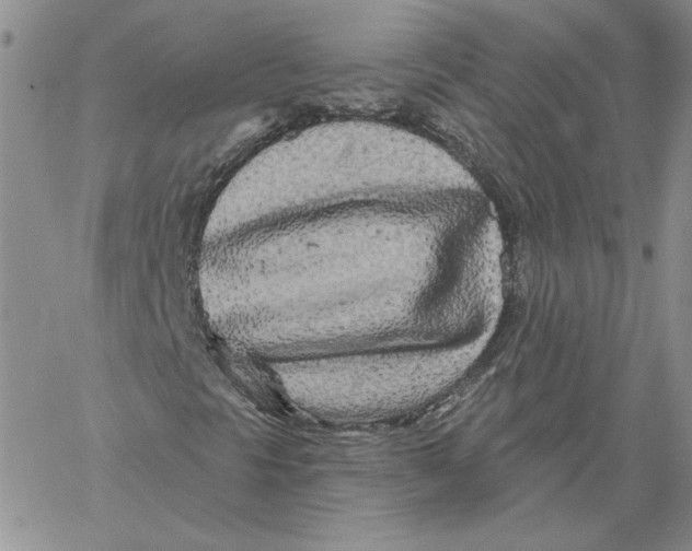 X0000060581297200511241331