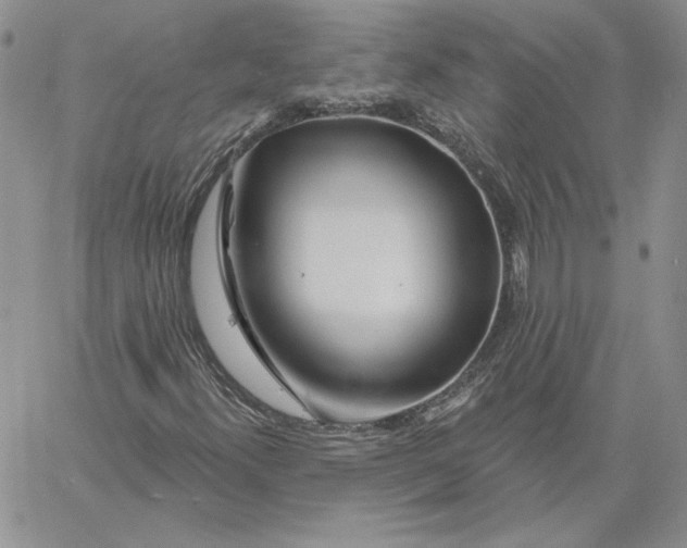 X0000060581300200511241331