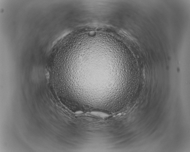 X0000060581302200511241331