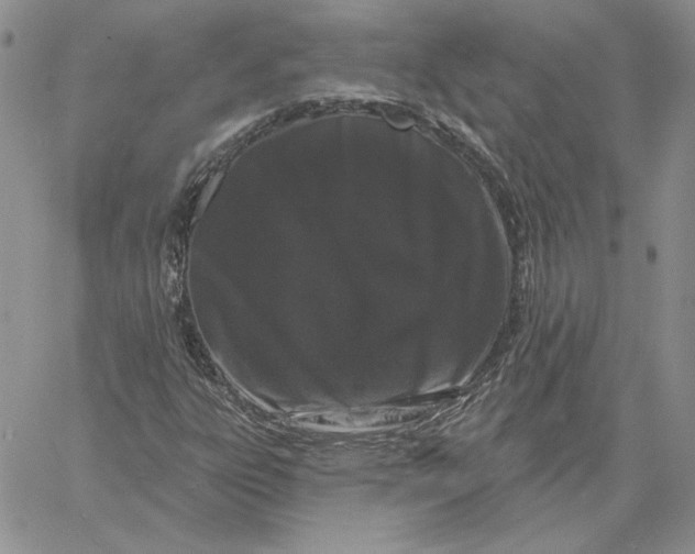 X0000060581303200511241331