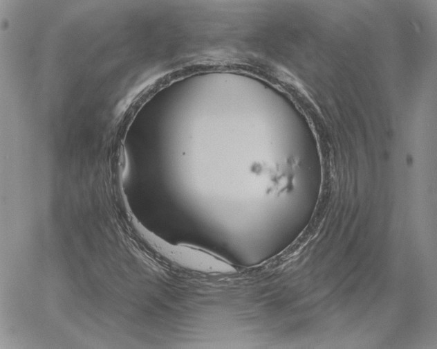 X0000060581304200511241331