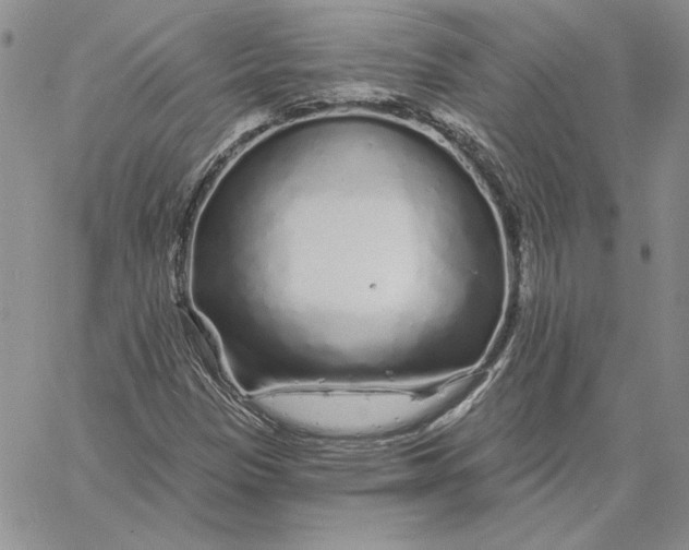 X0000060581305200511241331