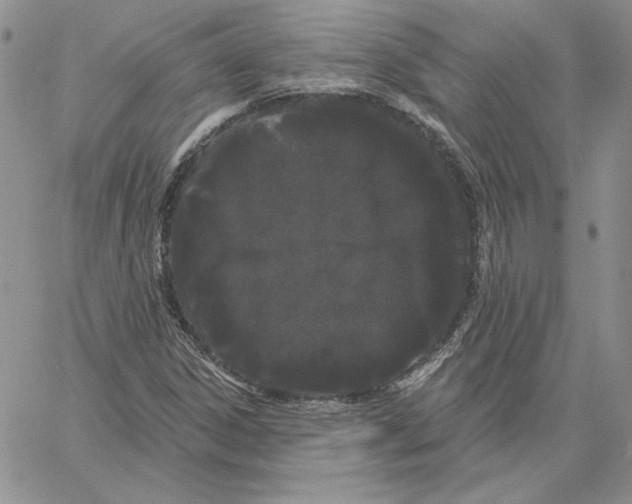 X0000060581306200511241331