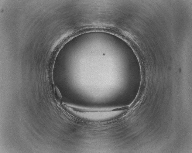 X0000060581307200511241331