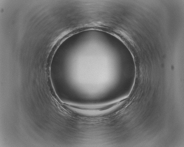 X0000060581308200511241331