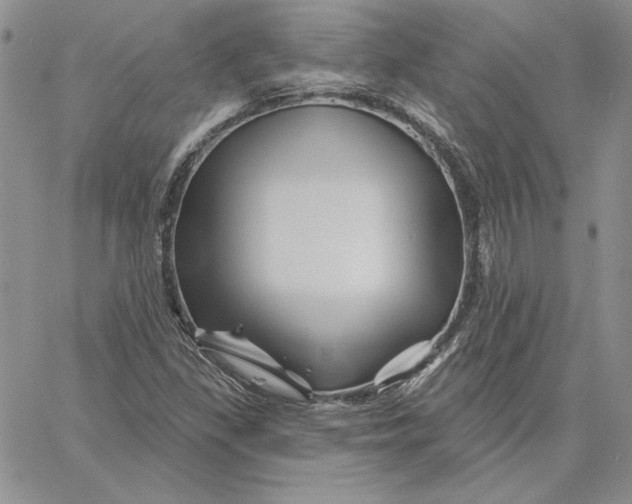 X0000060581309200511241331