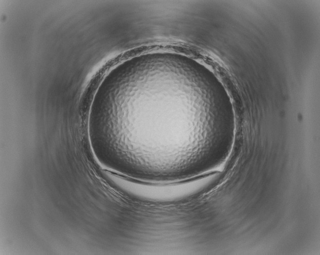 X0000060581310200511241331