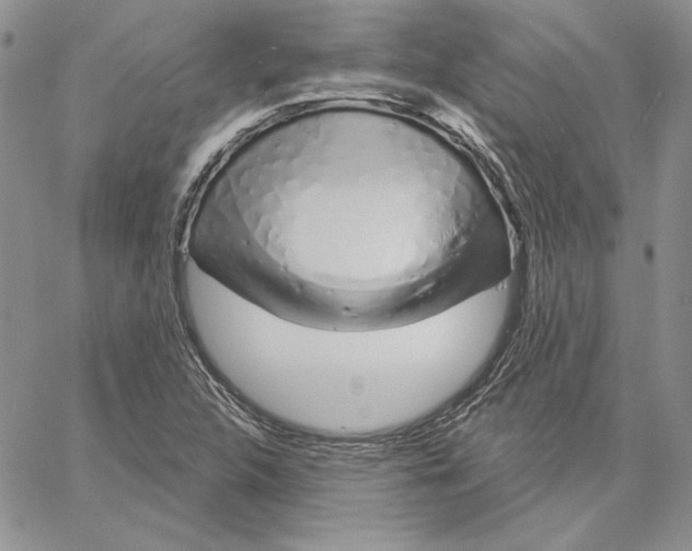 X0000060581312200511241331