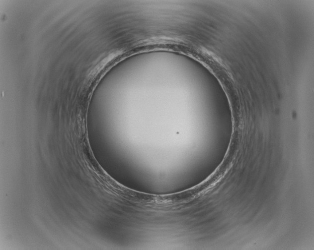 X0000060581313200511241331