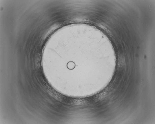 X0000060581314200511241331