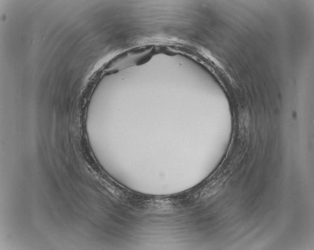 X0000060581315200511241331