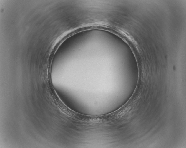 X0000060581316200511241331