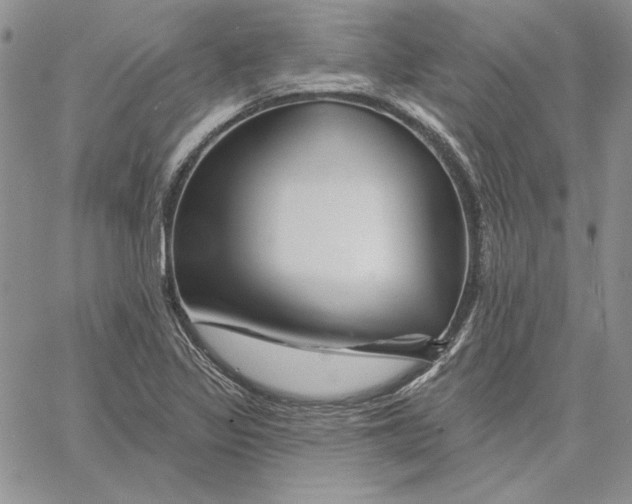 X0000060581317200511241331