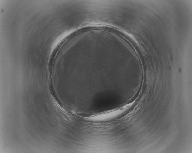 X0000060581319200511241331